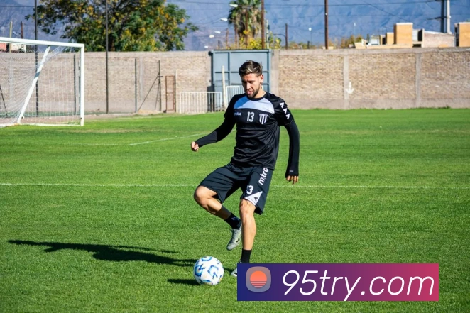 九五至尊官网平台生态图